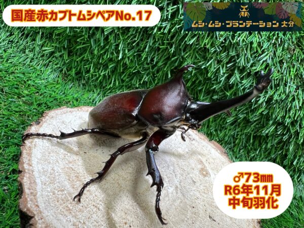 商品 - 画像 (2)