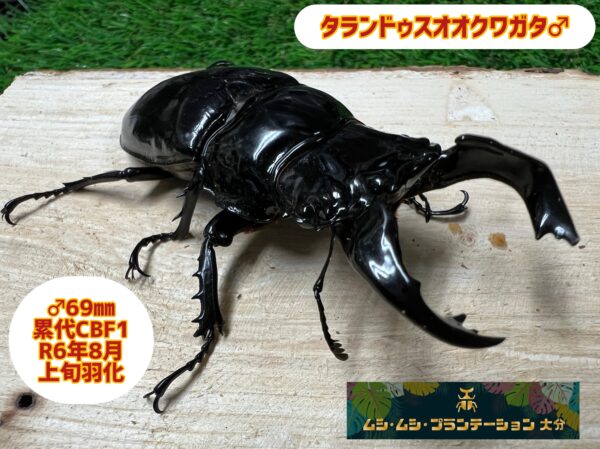 商品