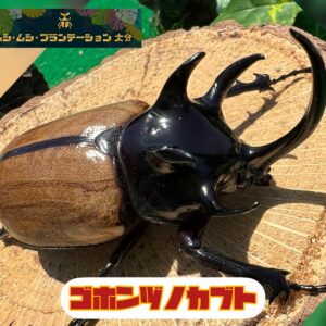 商品