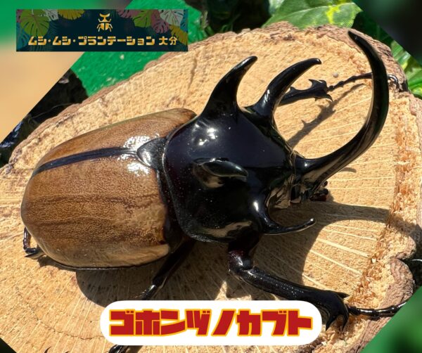 商品