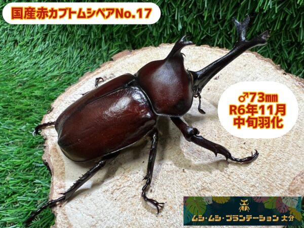商品